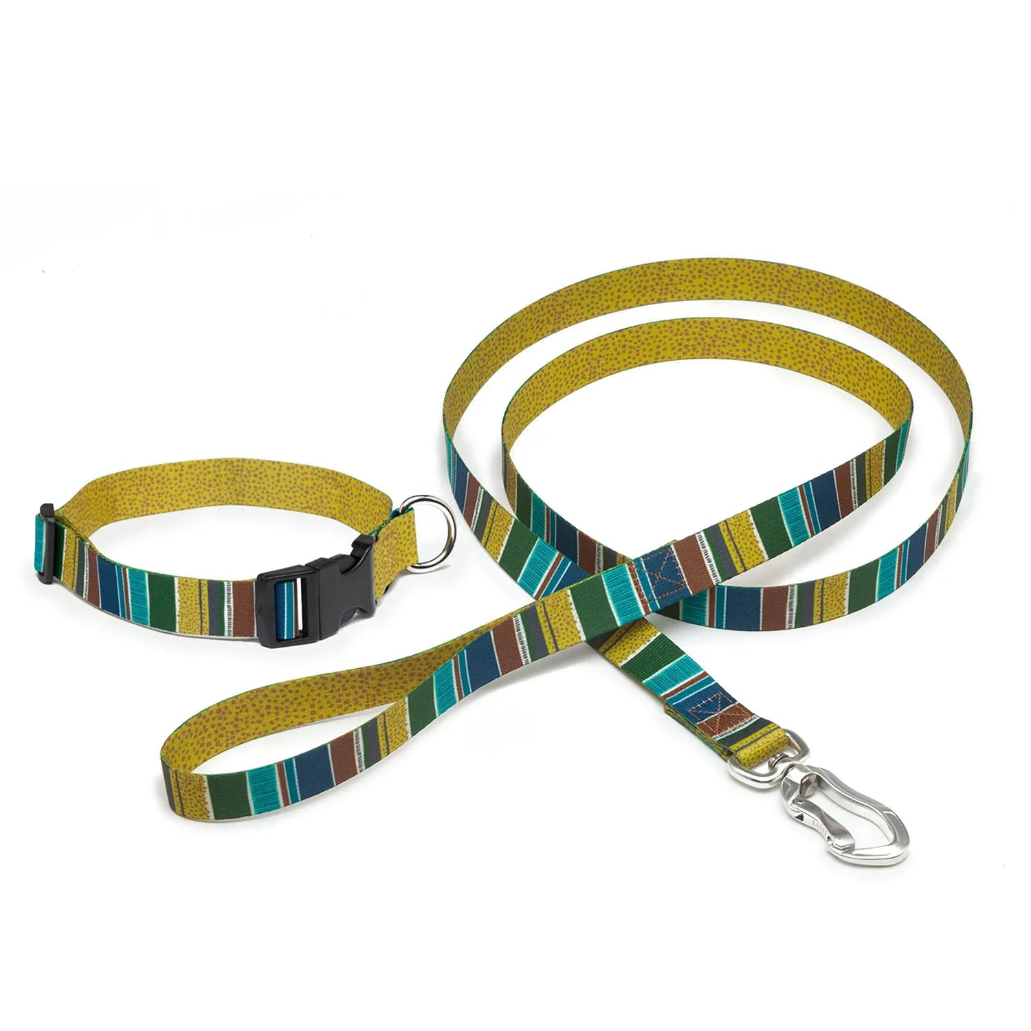 Collars and Leashes