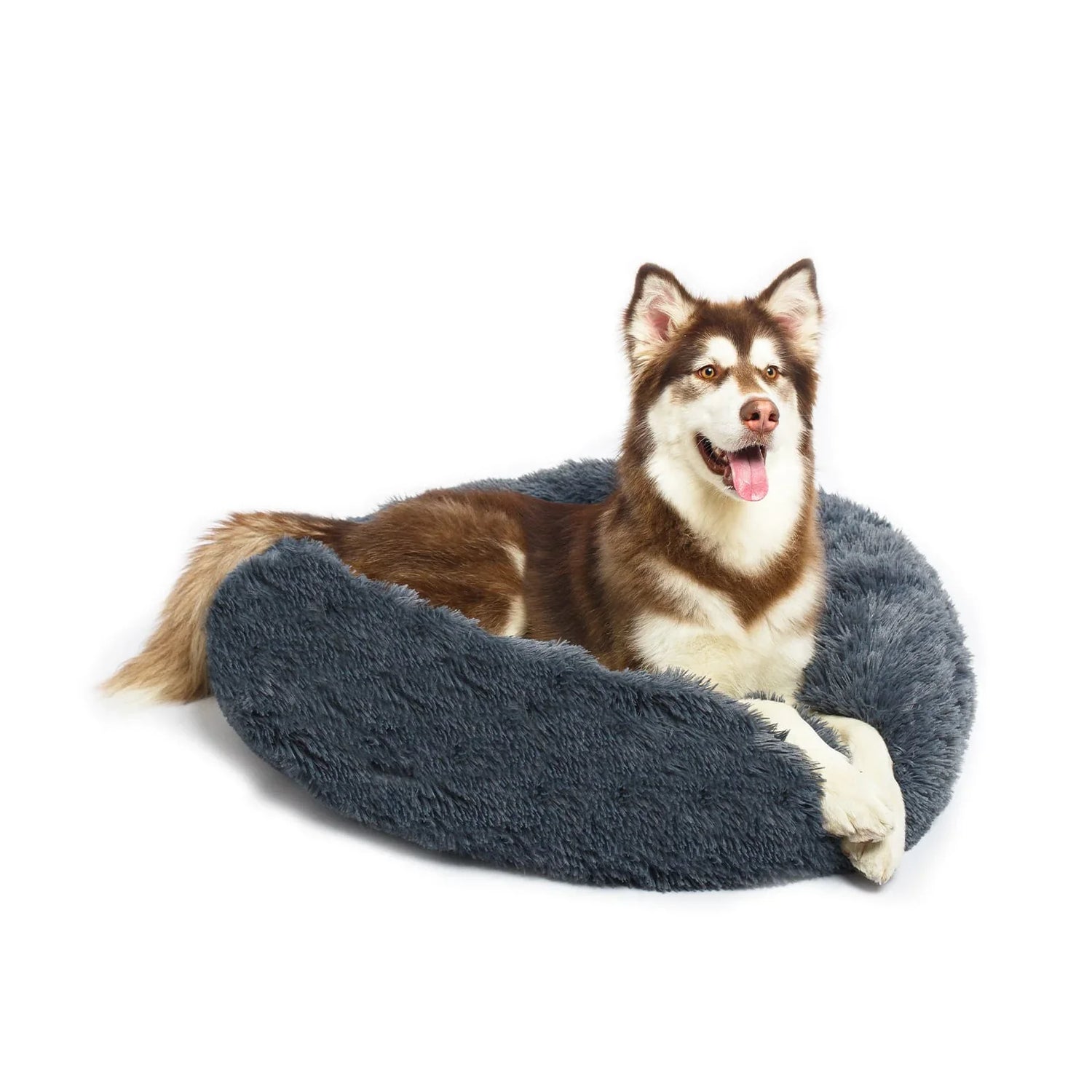 Pet Beds
