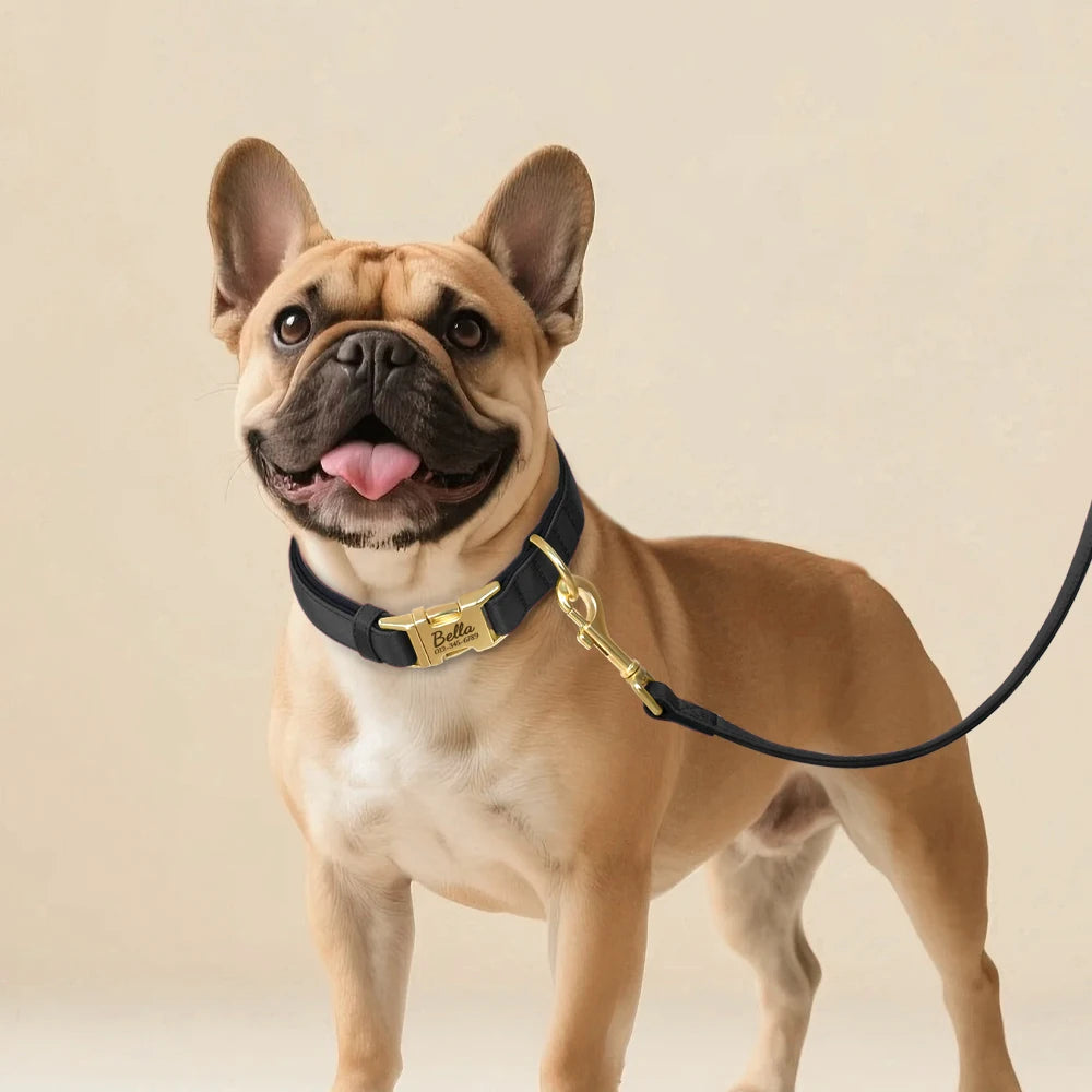 Personalized Dog Collar Leash Set Durable Nylon Dog Necklace Free Engraving Pet Puppy Collars With Lead Waterproof For Dogs Pug